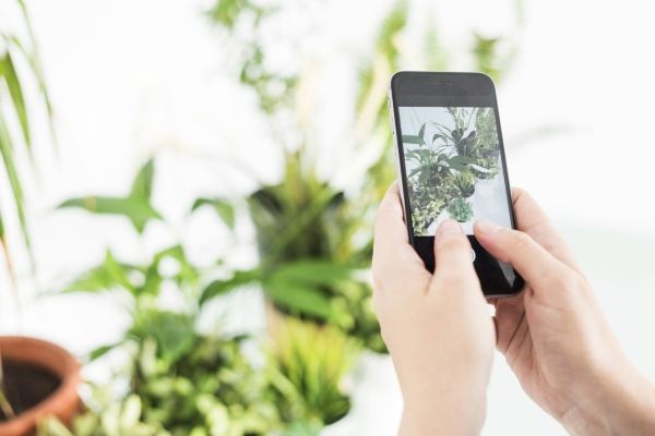 İnstagram İçin Fotoğraf Çekimi